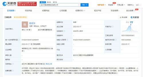 市場信息咨詢 洞察趨勢脈動，探尋商業智慧