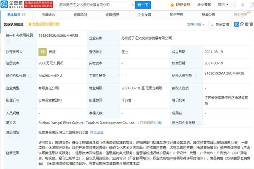 市場信息咨詢 洞察趨勢，驅動決策